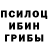 Псилоцибиновые грибы прущие грибы olexuy n