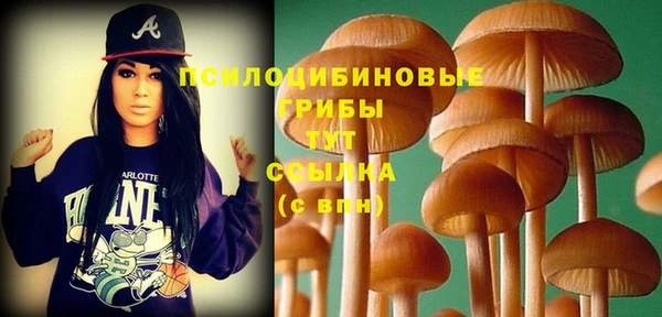 шишки Алексин