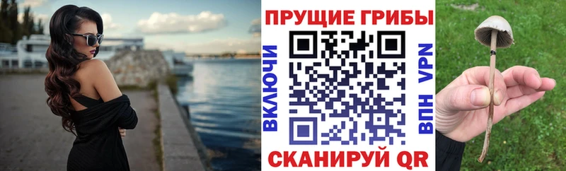 блэк спрут ССЫЛКА  Дудинка  Галлюциногенные грибы мухоморы 